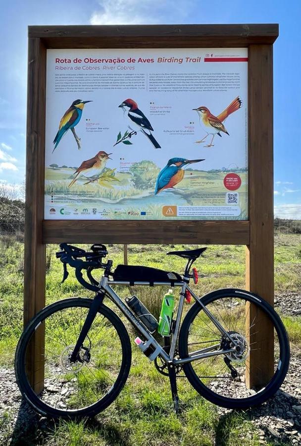 4Bs - Birds & Bicycles Apartment Кастро Верде Екстериор снимка